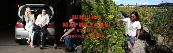 бошки Алзамай